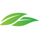 Best Daily Vitamins for Seniors