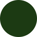 Best Gut Health Supplements for Men